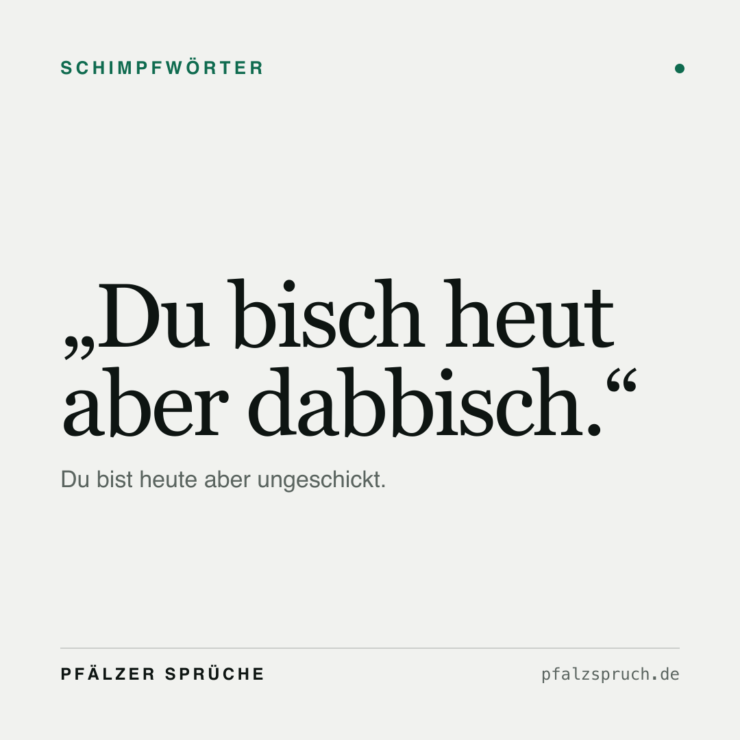 Vorschau der Karte für Du bisch heut aber dabbisch.