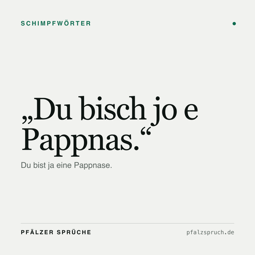 Vorschau der Karte für Du bisch jo e Pappnas.