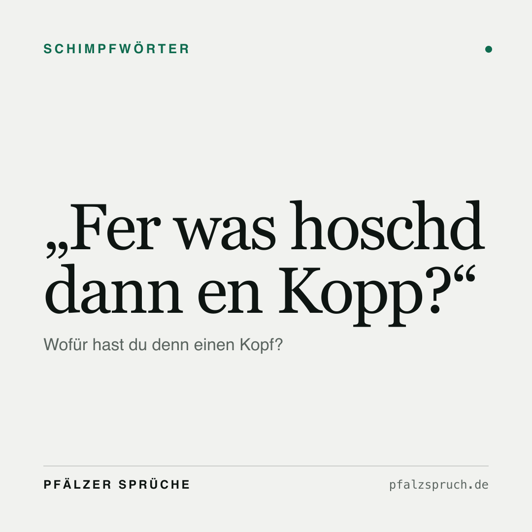 Vorschau der Karte für Fer was hoschd dann en Kopp?