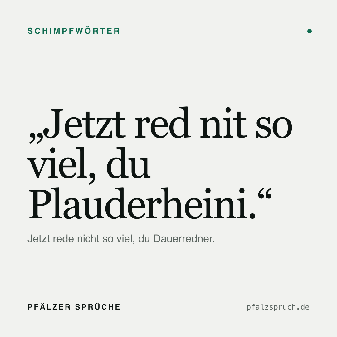 Vorschau der Karte für Jetzt red nit so viel, du Plauderheini.