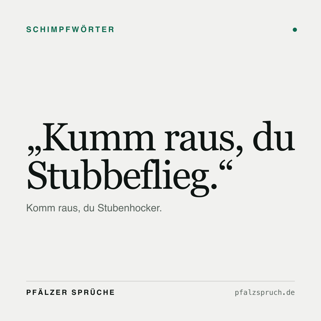Vorschau der Karte für Kumm raus, du Stubbeflieg.