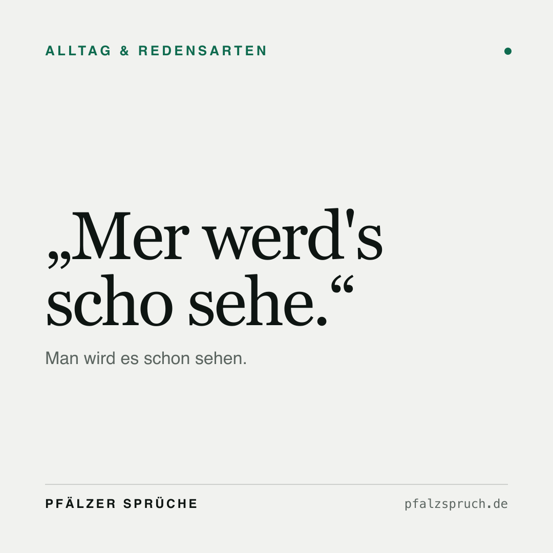 Vorschau der Karte für Mer werd's scho sehe.