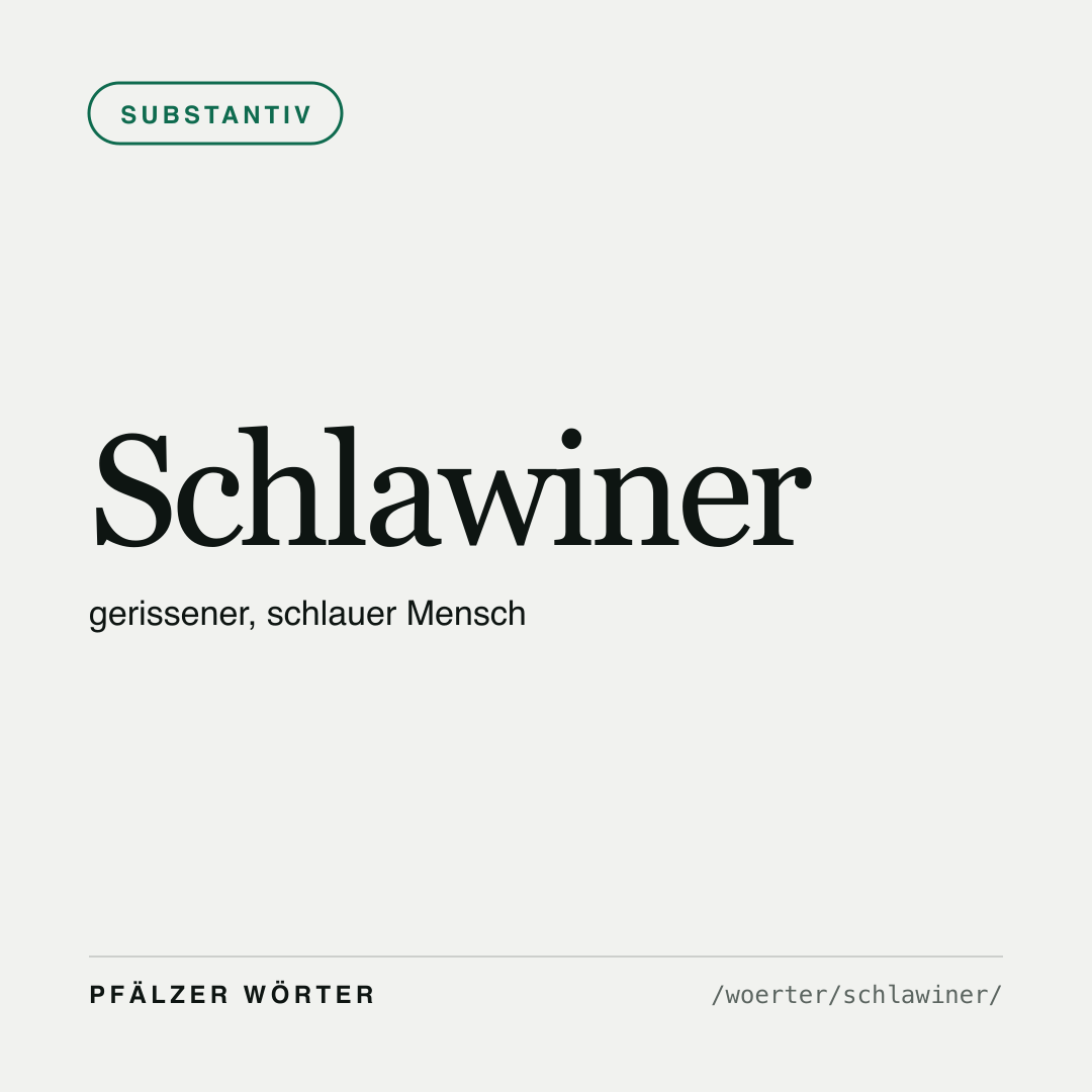 Vorschau der Karte für Schlawiner